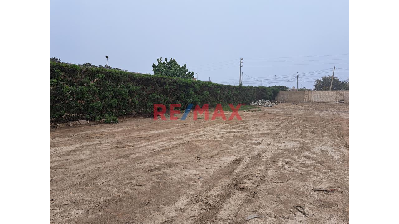 Vendo Lotes En La Mejor Zona De Grocio Prado                                                           Av. El Progreso                                                    Provincia De Chincha - Ica - 4