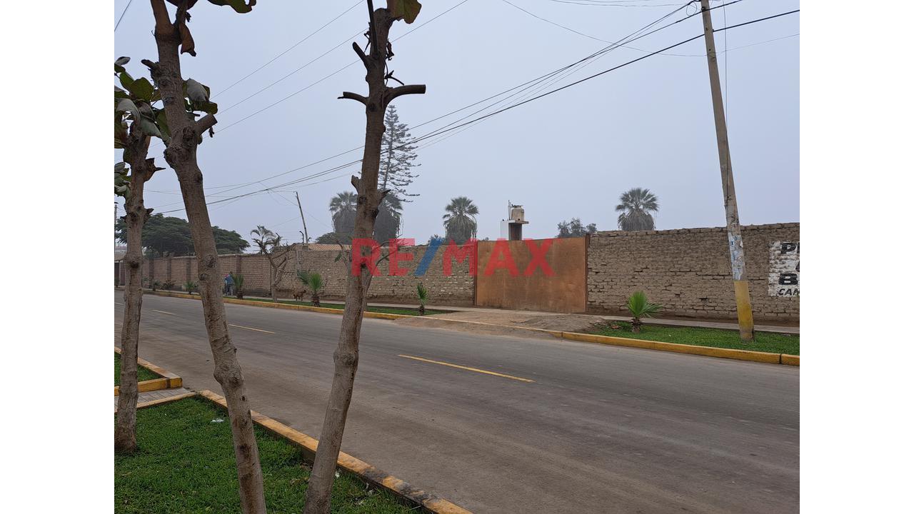 Vendo Lotes En La Mejor Zona De Grocio Prado Av. El Progreso Provincia De Chincha - Ica - 1
