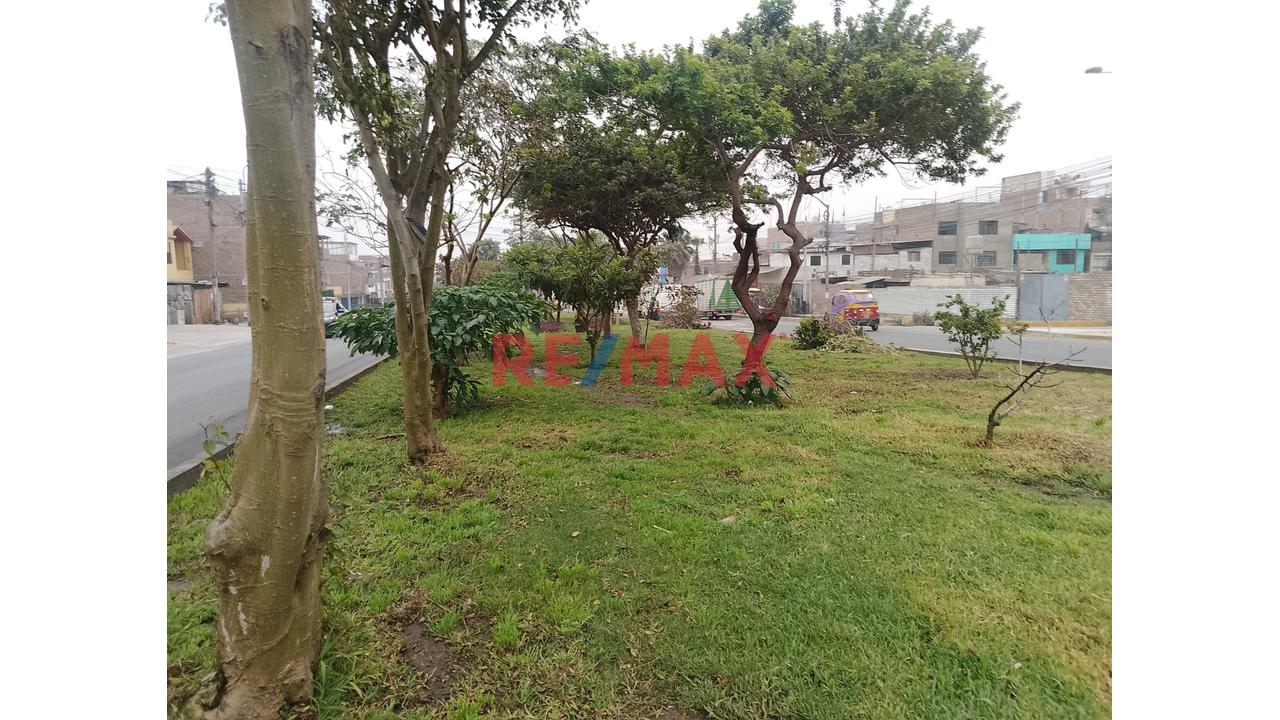Se Vende Casa En Av. Santa Rosa San Juan De Lurigancho — foto 5