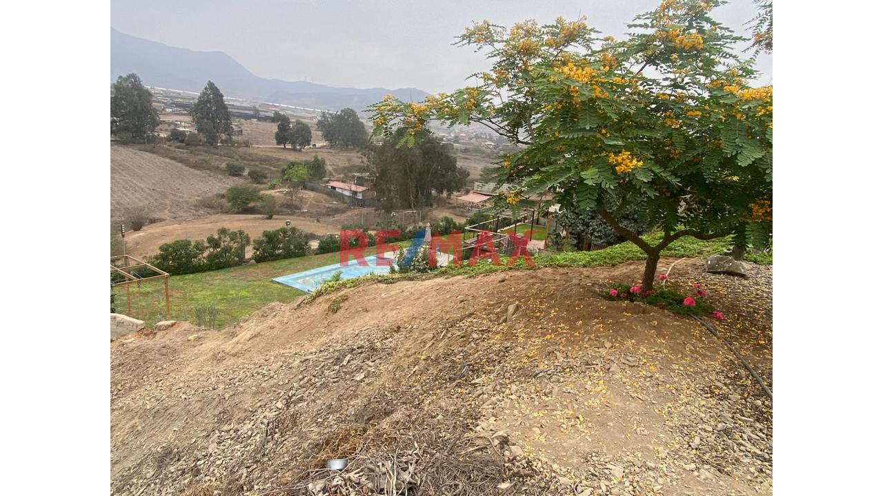 Liquidacion Terreno Urbano Condominio  "Las Terrazas De Amancaes"  En Pachacamac — foto 5