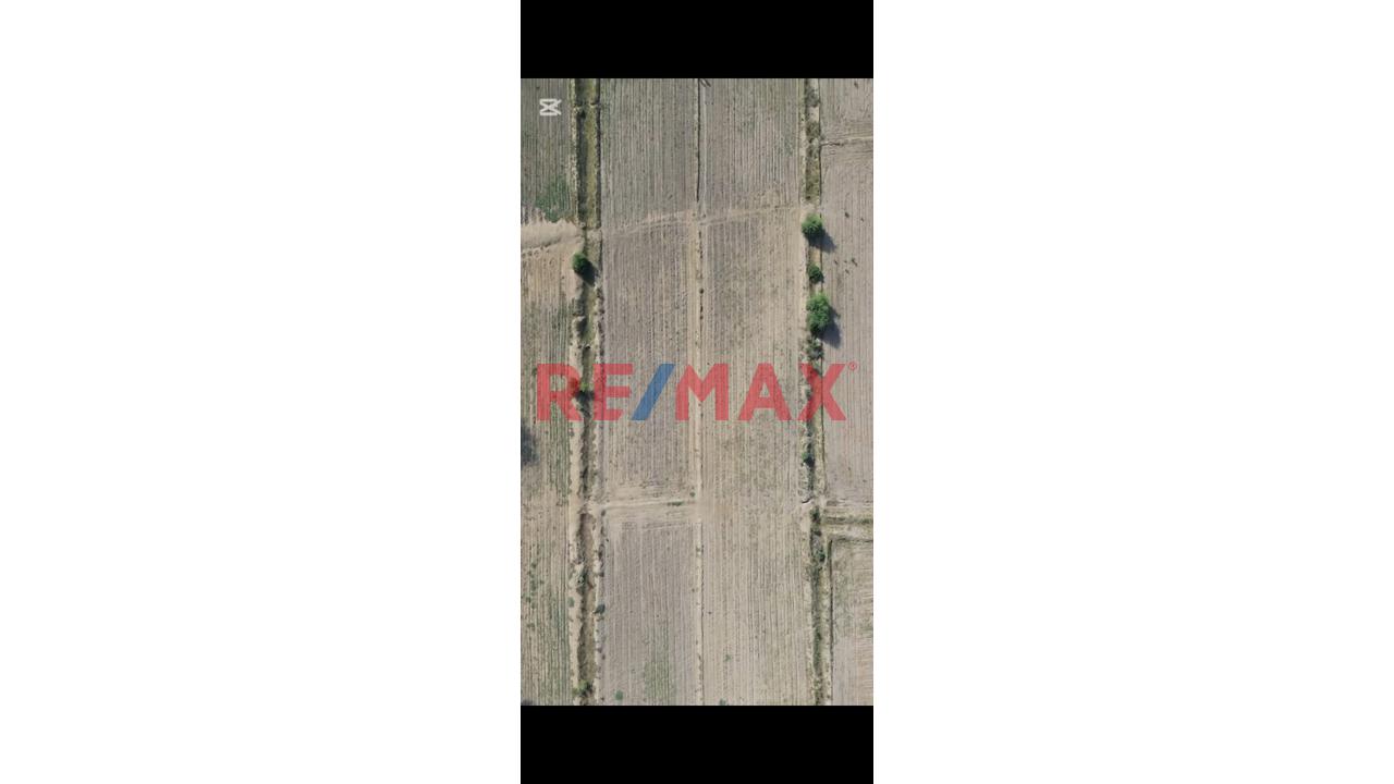 Terreno en Venta ubicado en Catacaos Terreno en Venta ubicado en Catacaos