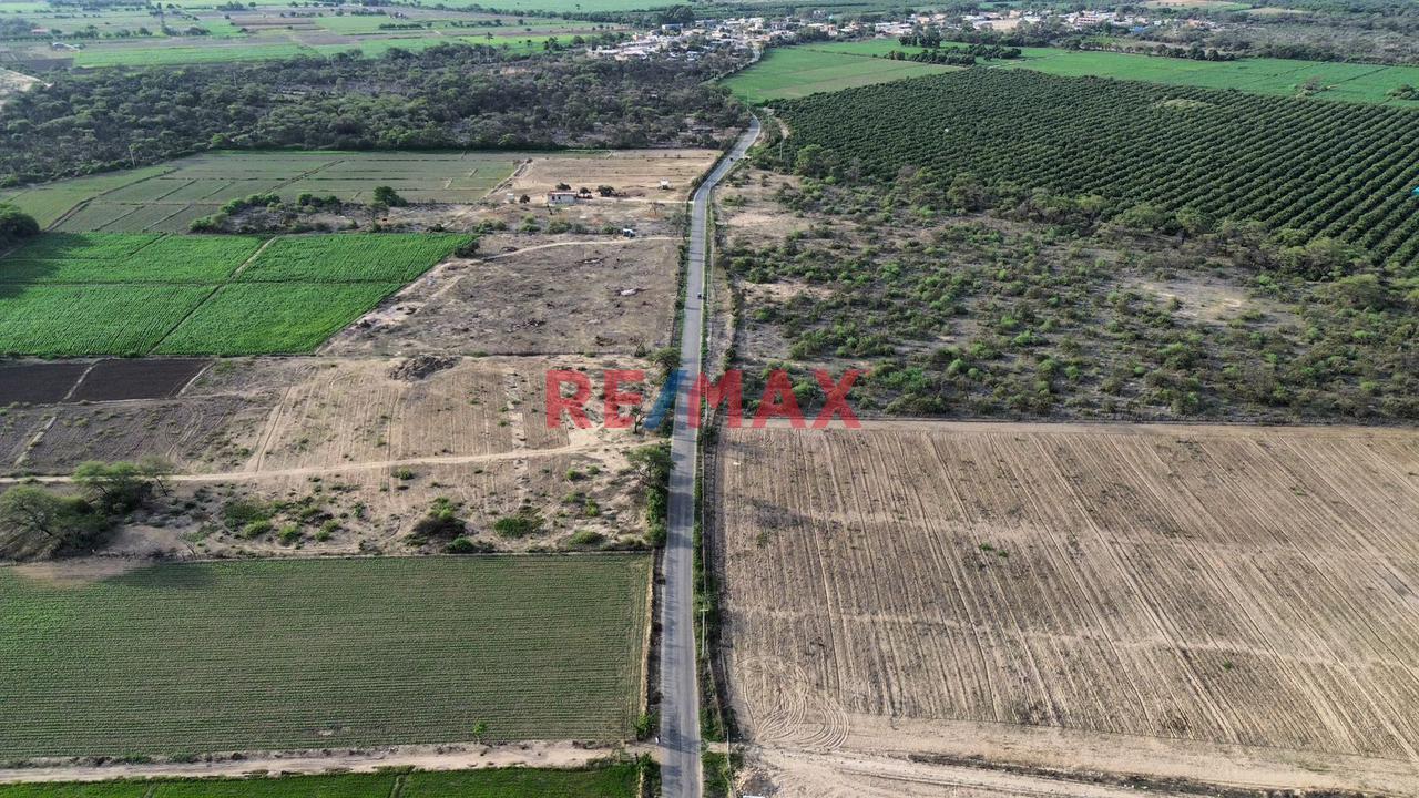 Terreno en Venta ubicado en Jayanca Terreno en Venta ubicado en Jayanca
