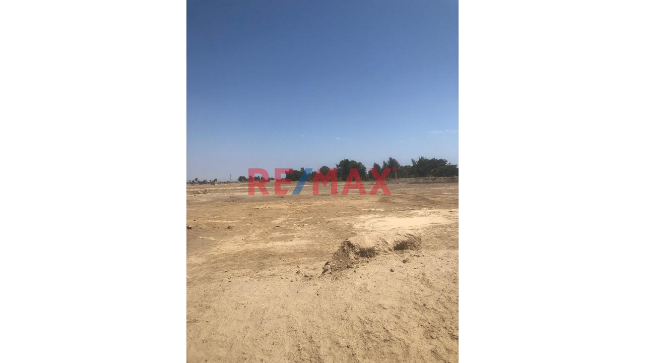 Se Vende Lindo Terreno Rural En Grocio Prado Sector Pampa De Ñoco Chincha Ica (Cerca Al Restaurante Paisa 1) - 4