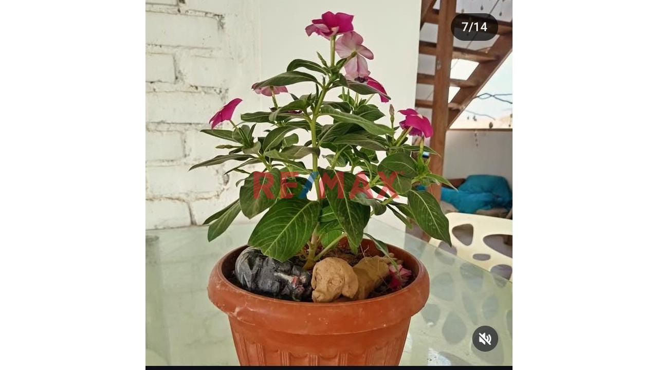 Venta De Casa De Playa En Vichayito - 19