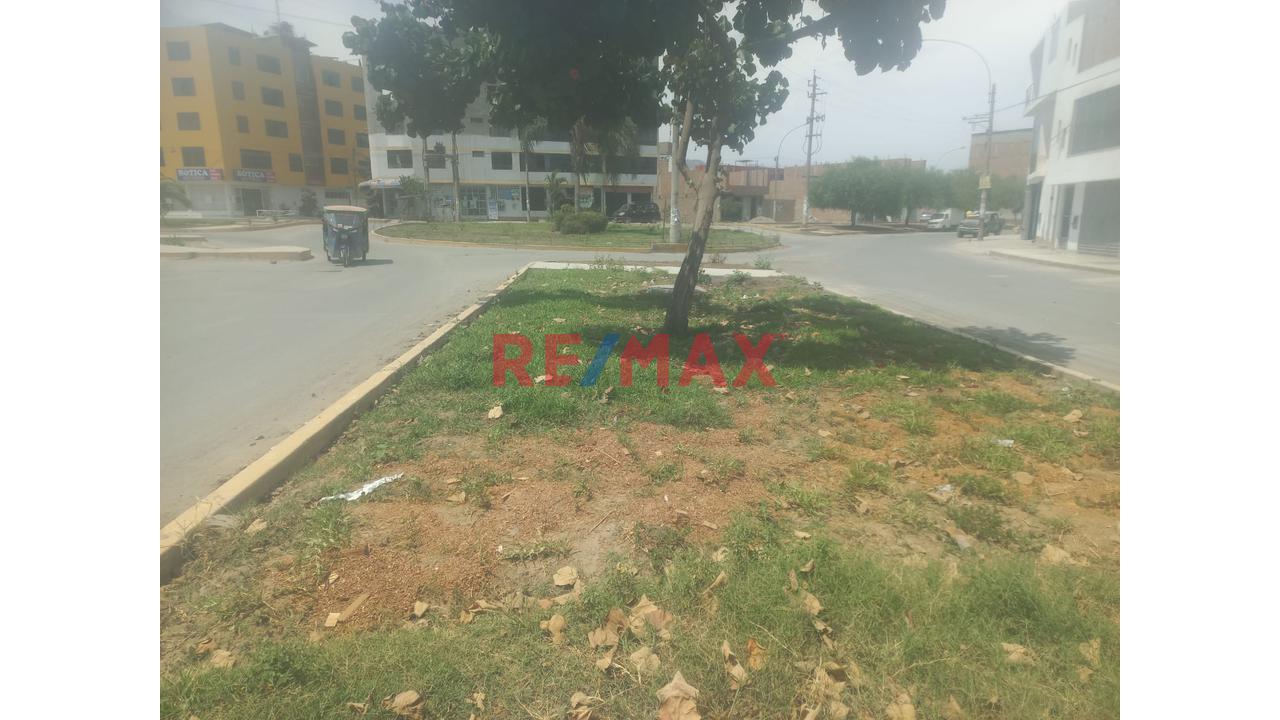 Venta De Un Terreno En Urbanizacion San Pedro De Carabayllo - 8