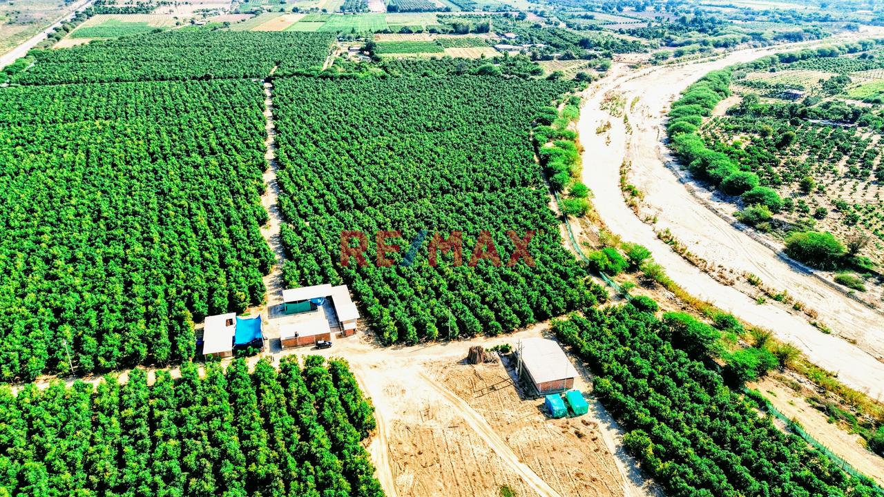 Oportunidad única Terreno ubicado en Motupe Oportunidad única Terreno ubicado en Motupe