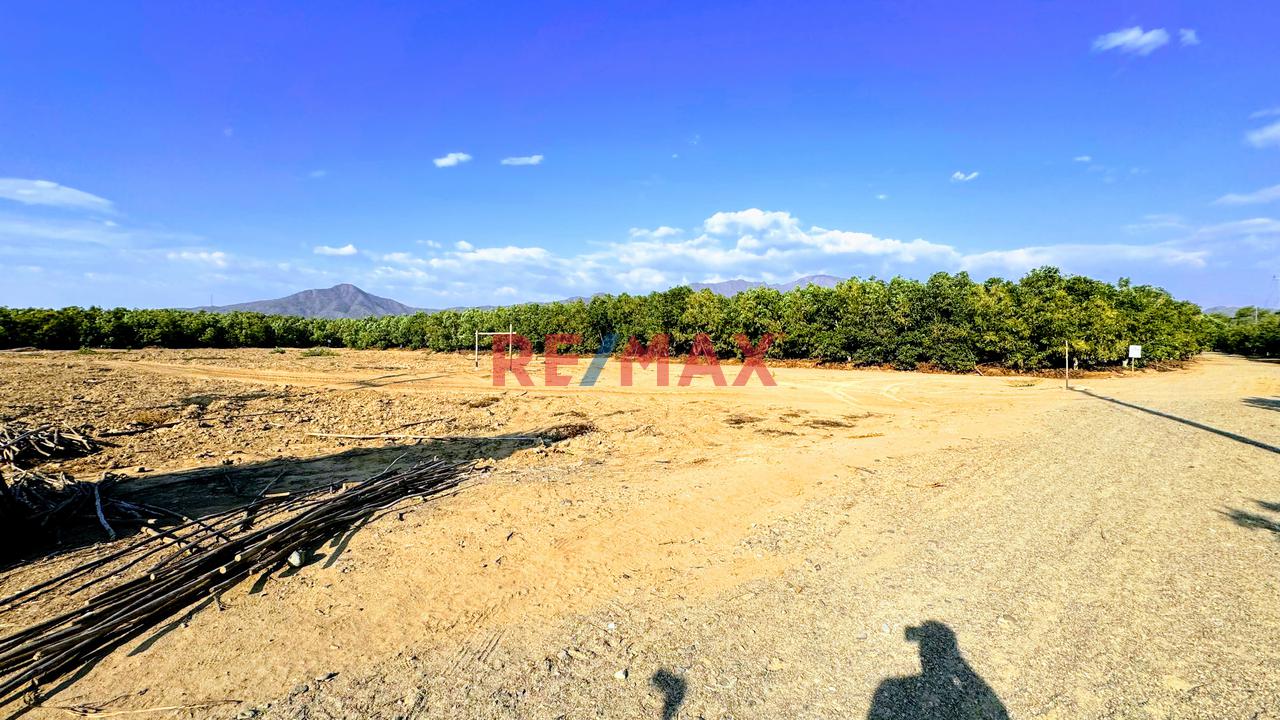Terreno en Venta ubicado en Predio Rural De Motupe Terreno en Venta ubicado en Predio Rural De Motupe
