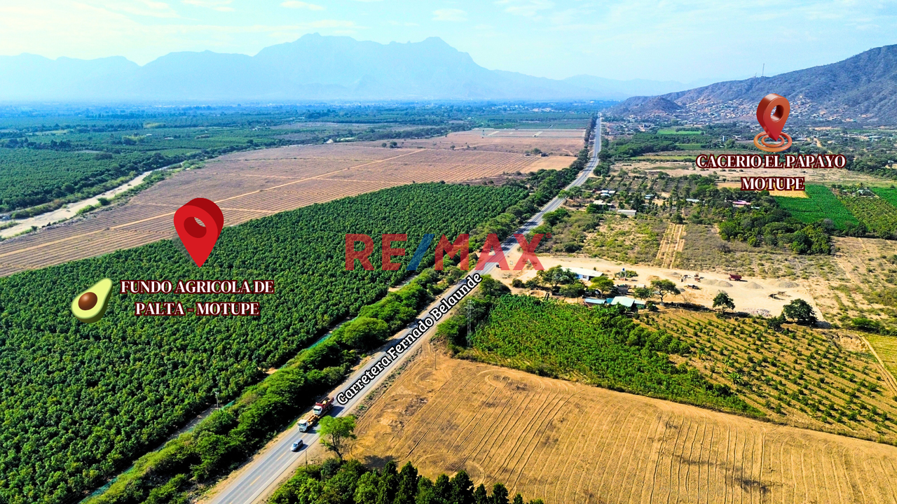 Terreno en Venta ubicado en Motupe Terreno en Venta ubicado en Motupe