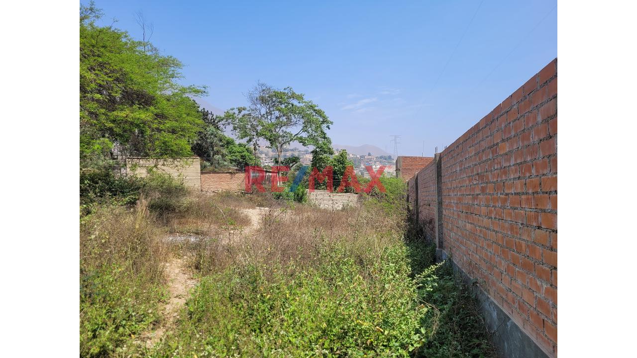 Excelente Ooportunidad Des Terreno Para Casa Huerta - 8