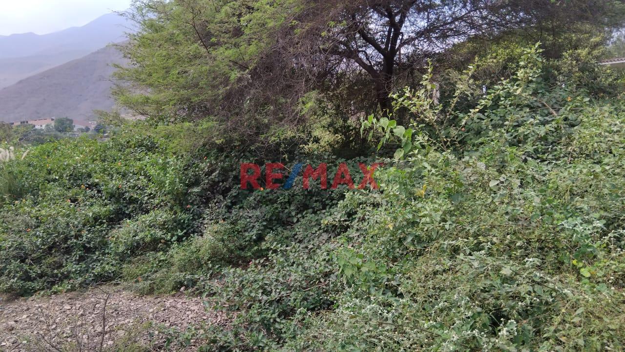 Excelente Ooportunidad Des Terreno Para Casa Huerta - 1