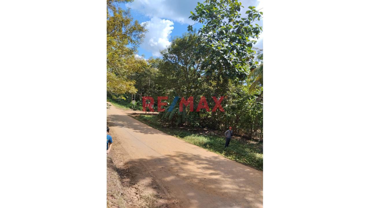 Terreno en Alquiler ubicado en La Banda De Shilcayo Terreno en Alquiler ubicado en La Banda De Shilcayo