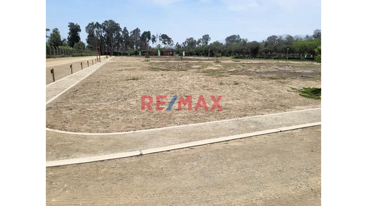 Venta De Terreno En Fundo Pacahacamac - I - 11