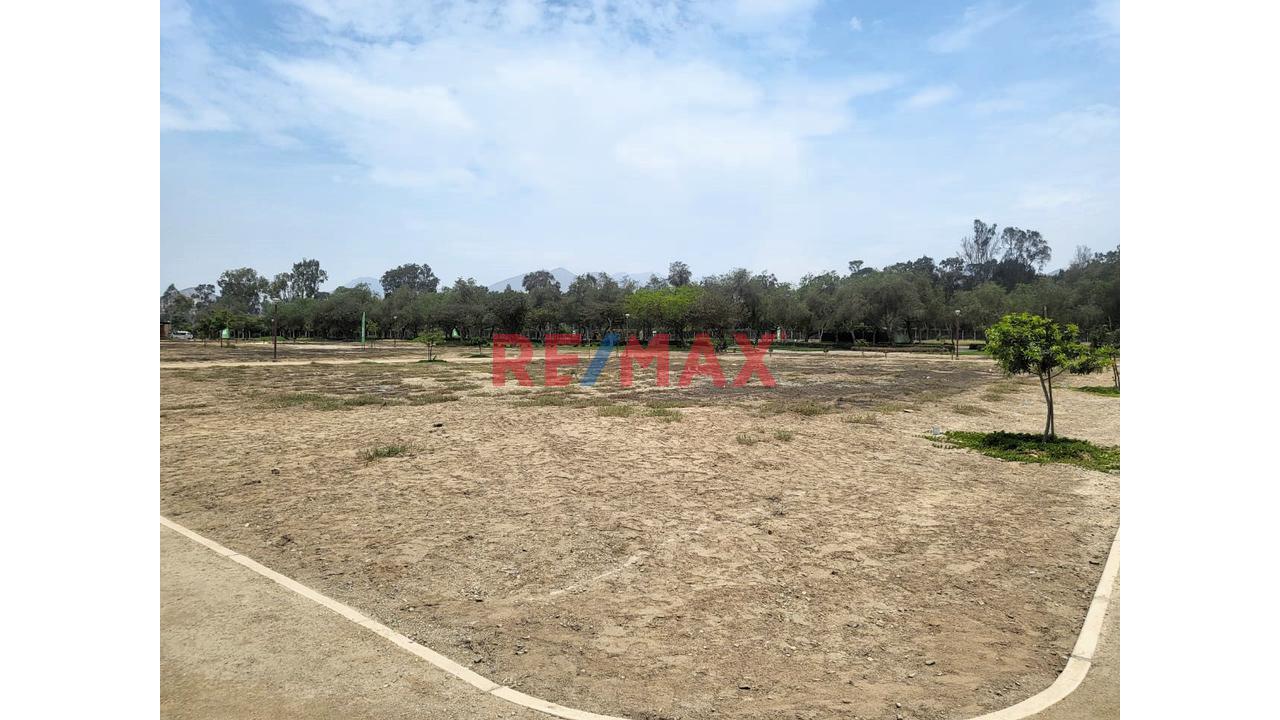 Venta De Terreno En Fundo Pacahacamac - I - 8