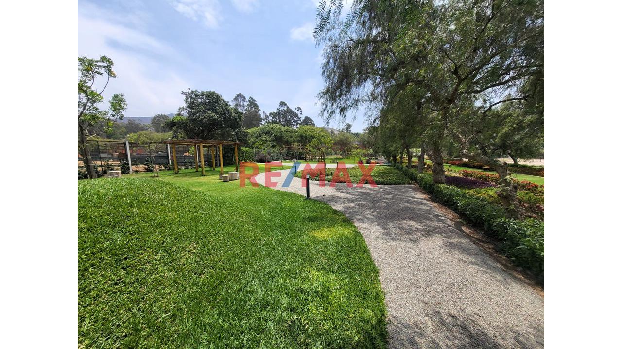 Venta De Terreno En Fundo Pacahacamac - I - 5