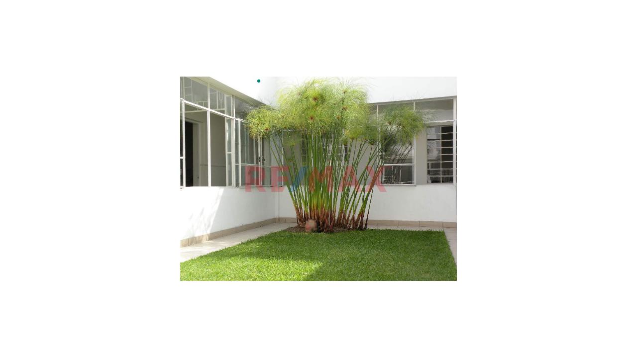 Se Alquila Casa Para Oficina /Vivienda - 5