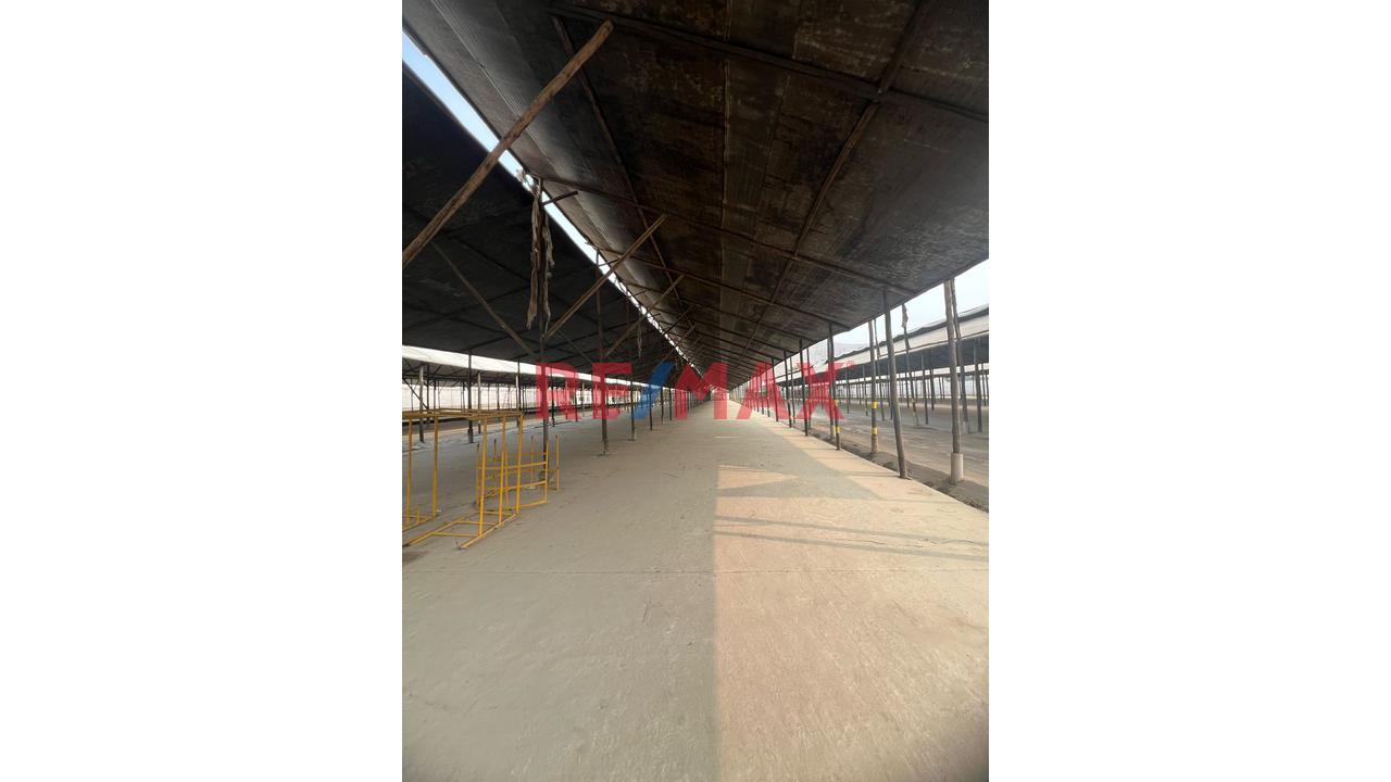 Alquiler De Amplio Terreno En Ñaña – Ubicación Estratégica Y Potencial Comercial - 4