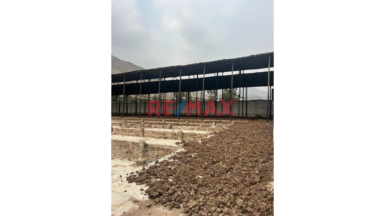 Alquiler De Amplio Terreno En Fundo Ñaña – Ate — foto 9