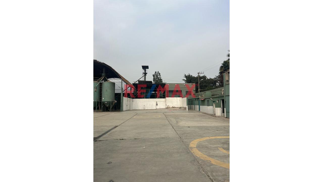 Alquiler De Amplio Terreno En Fundo Ñaña – Ate — foto 13