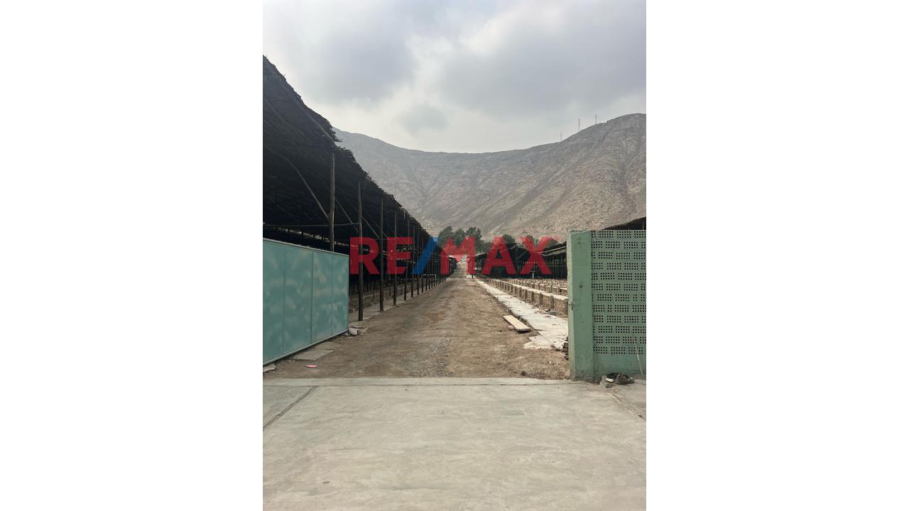 Alquiler De Amplio Terreno En Fundo Ñaña – Ate — foto 10