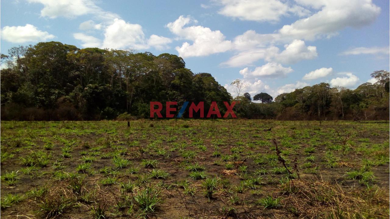 Venta Terreno En Madre De Dios, Tambopata - 55.9558 Hectareas - 5