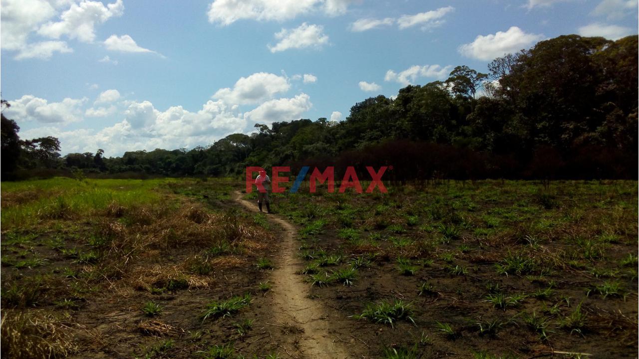 Venta Terreno En Madre De Dios, Tambopata - 55.9558 Hectareas - 3