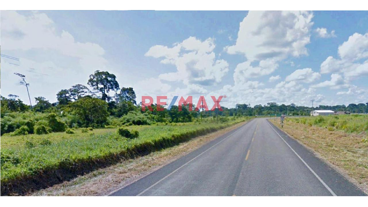 Venta Terreno En Madre De Dios, Tambopata - 55.9558 Hectareas - 2
