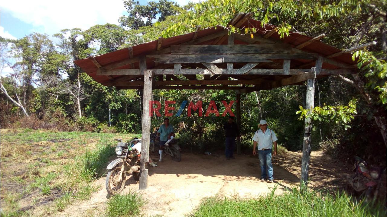 Venta Terreno En Madre De Dios, Tambopata - 55.9558 Hectareas - 4