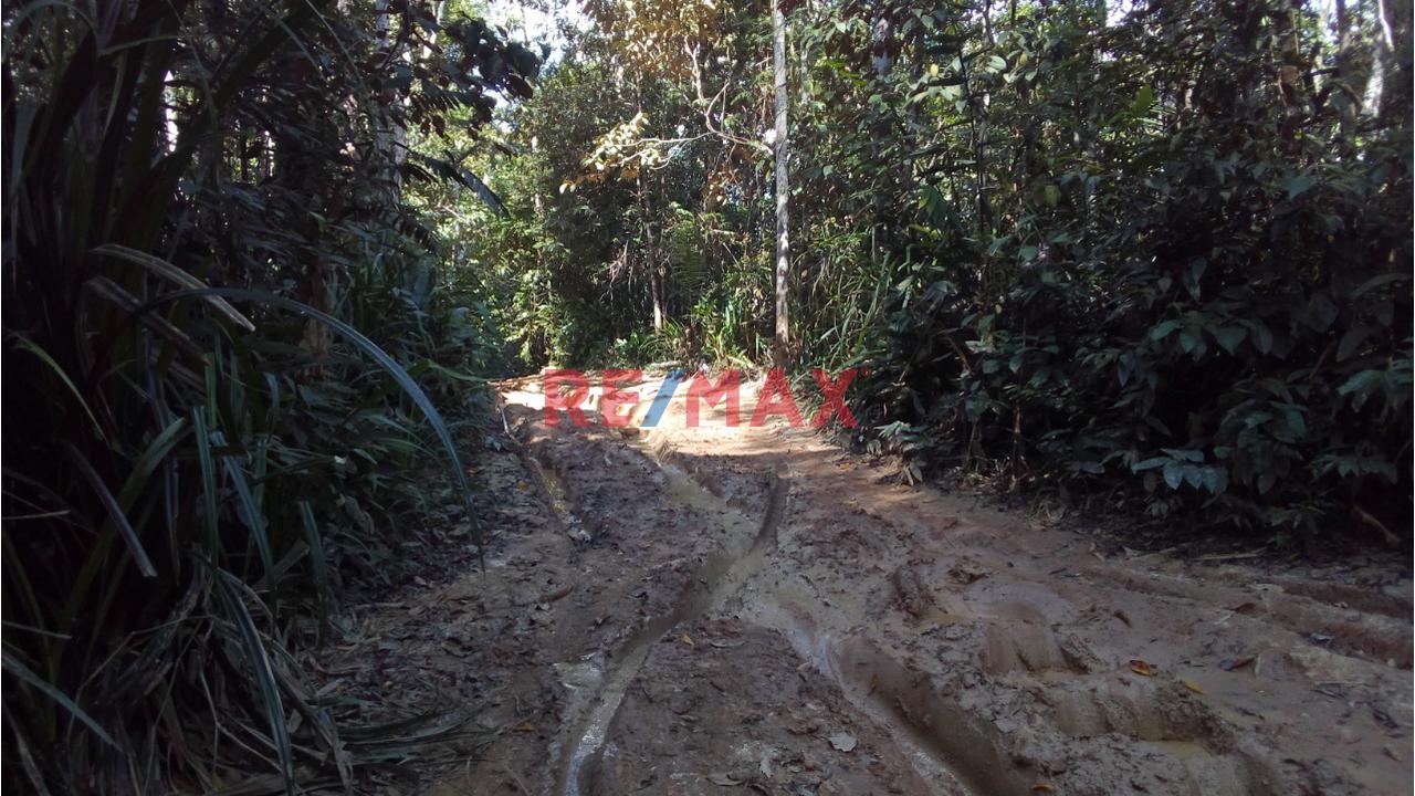 Venta Terreno En Madre De Dios, Tambopata - 55.9558 Hectareas - 6
