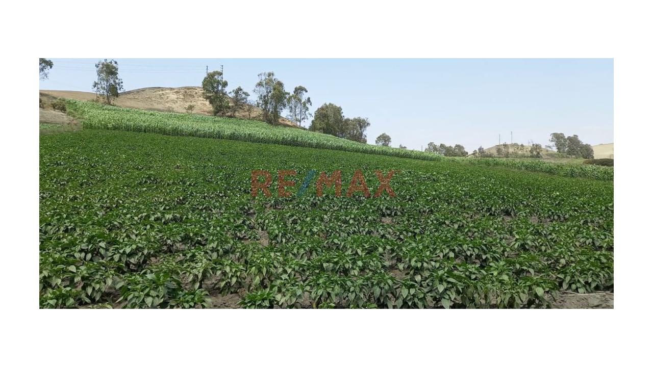 🌱 ¡Oportunidad Agrícola Estratégica En Barranca! 🌾 — foto 4