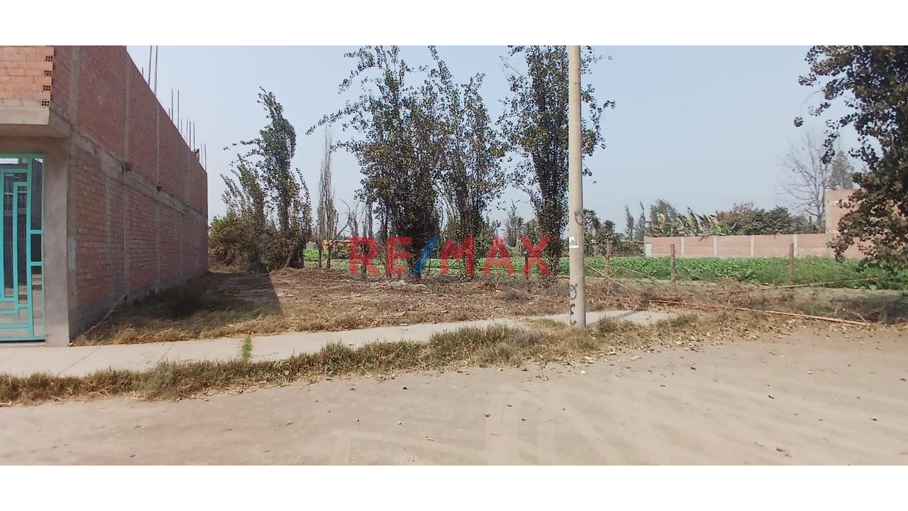 Se Vende Terreno  En La Arboleda 1Era Etapa - Carabayllo — foto 3