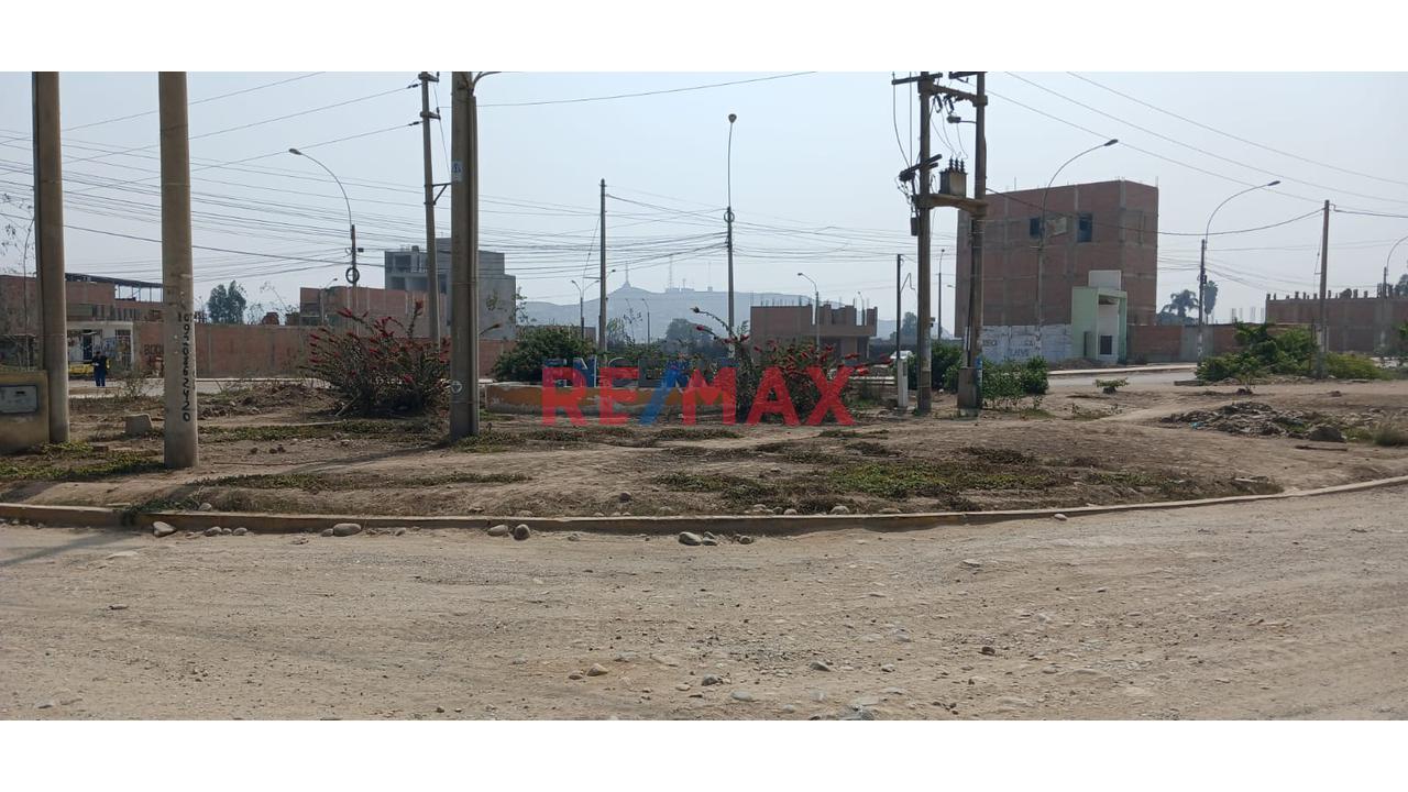 Se Vende Terreno  En La Arboleda 1Era Etapa - Carabayllo — foto 11