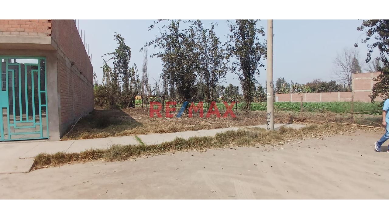 Se Vende Terreno  En La Arboleda 1Era Etapa - Carabayllo — foto 5