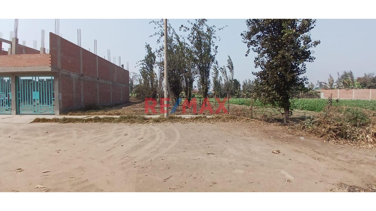 Se Vende Terreno  En La Arboleda 1Era Etapa - Carabayllo — foto 4