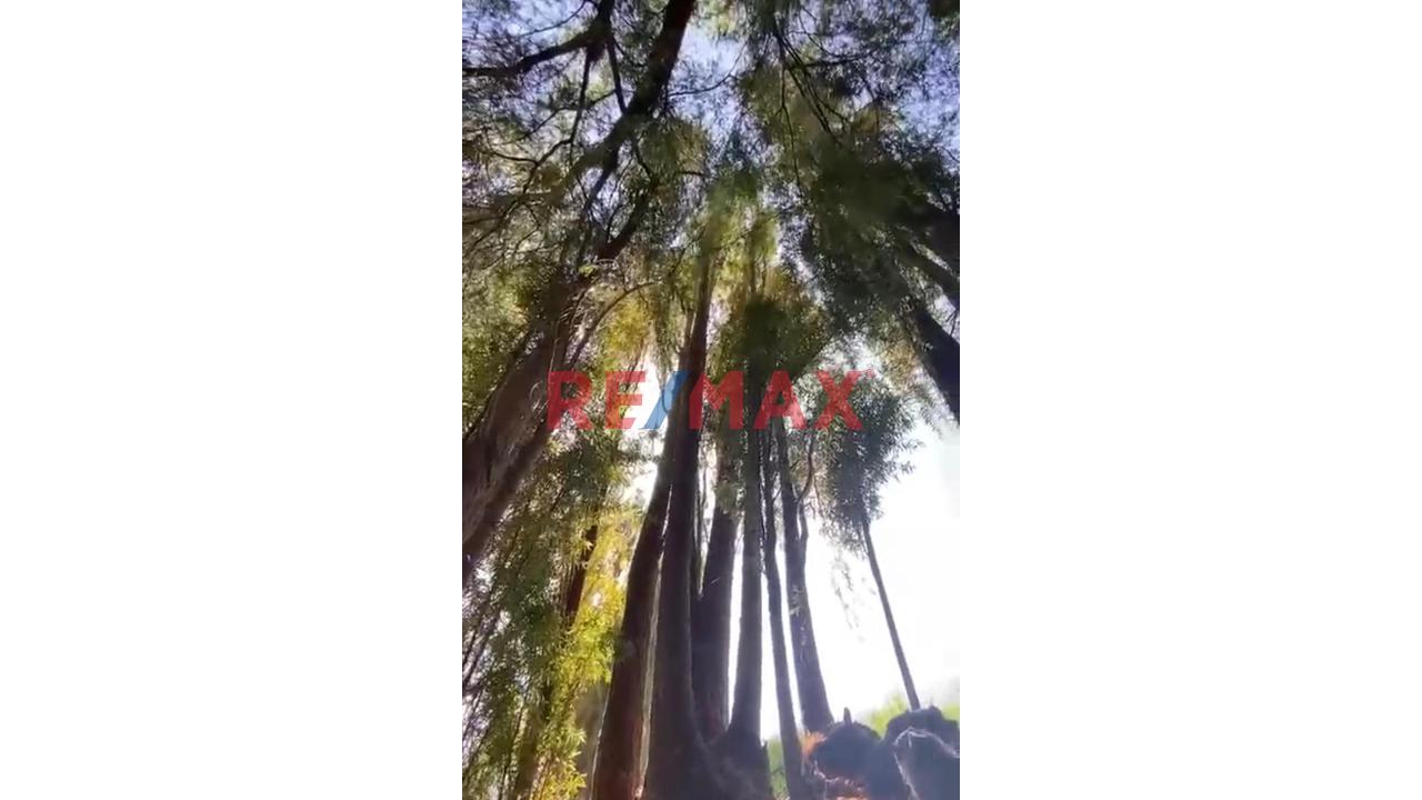 Vendo Terreno Urbano En La Joya - Proyecto El Bosque Casa Hacienda - 10