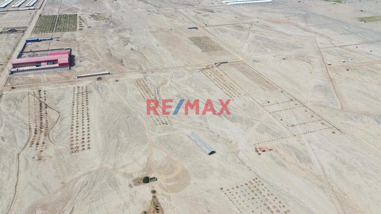 Oportunidad! Venta De Terreno En Chincha — foto 3