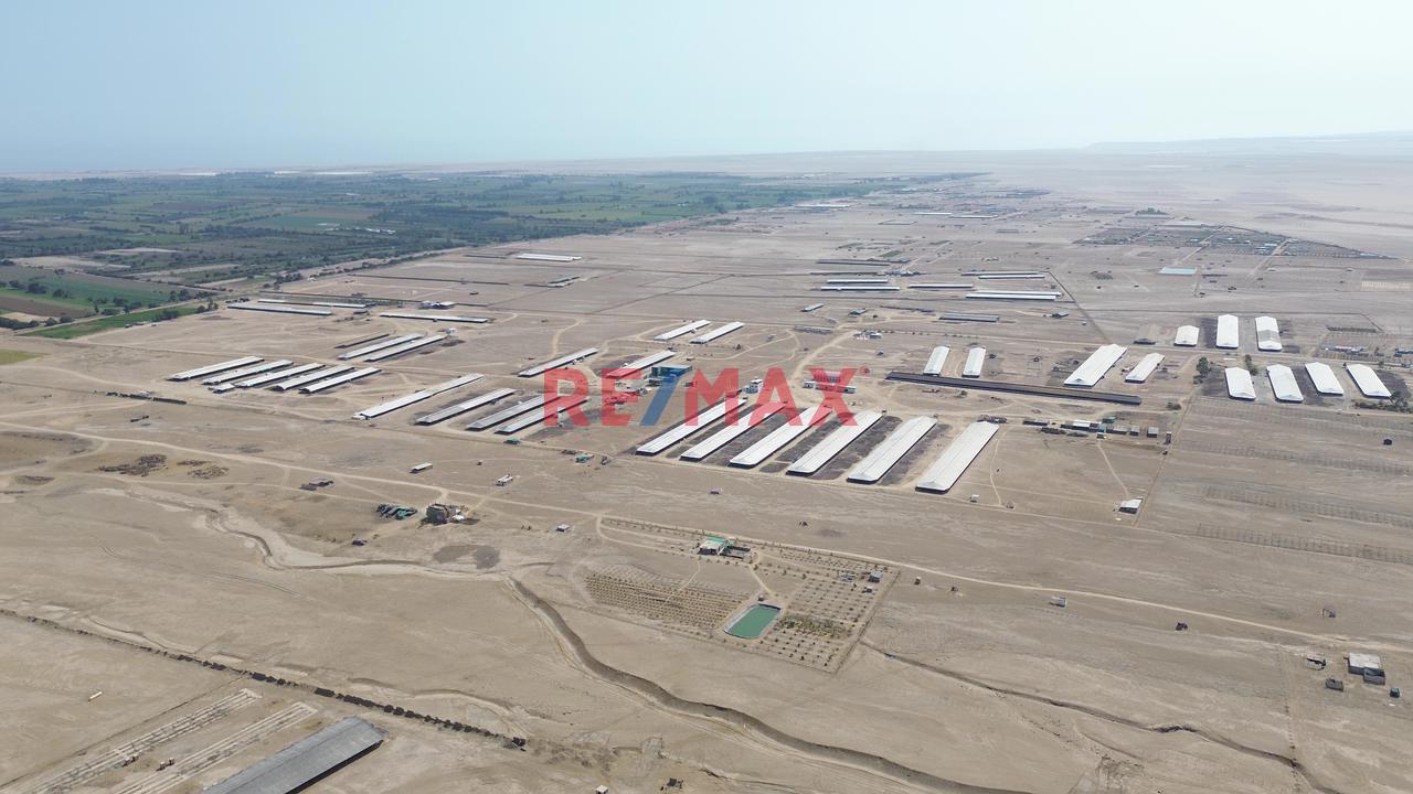 Oportunidad! Venta De Terreno En Chincha — foto 7