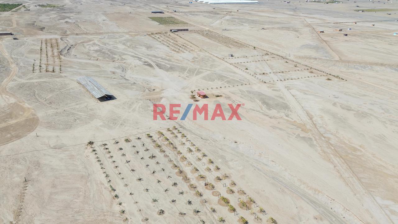 Oportunidad! Venta De Terreno En Chincha — foto 14