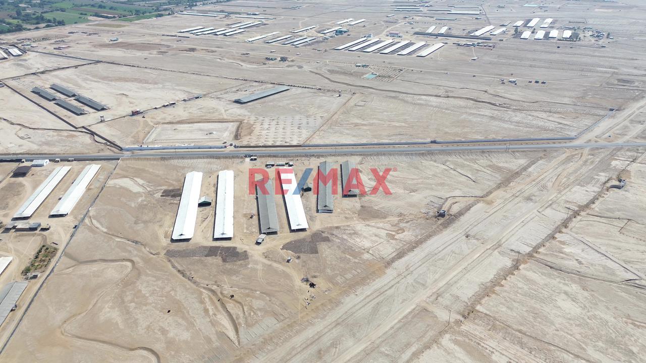 Oportunidad! Venta De Terreno En Chincha — foto 10