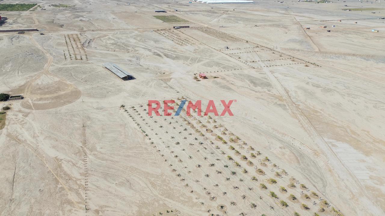 Oportunidad! Venta De Terreno En Chincha — foto 2