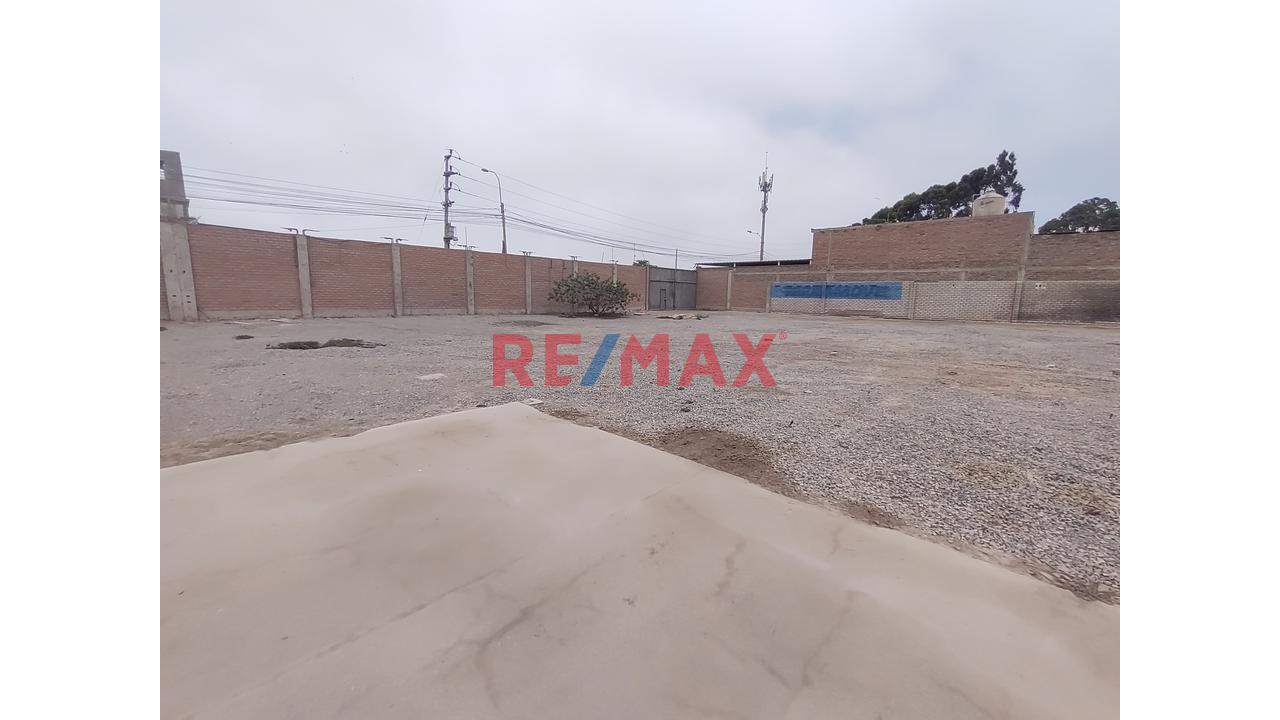 Se Alquila Local De 6500 M2 En Pachacamac - 8