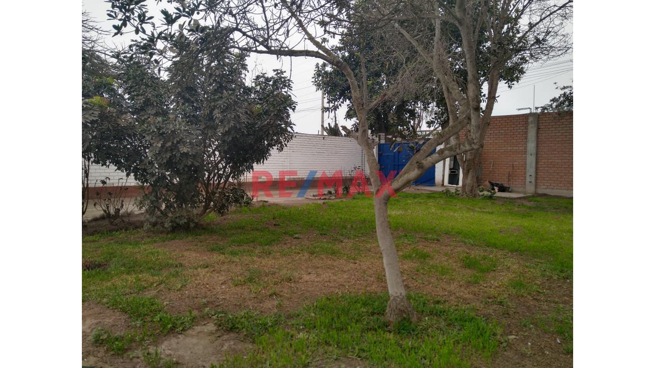 Se Alquila Local De 6500 M2 En Pachacamac - 20