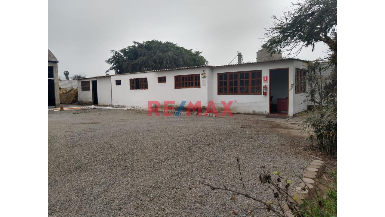 Se Alquila Local De 6500 M2 En Pachacamac - 5