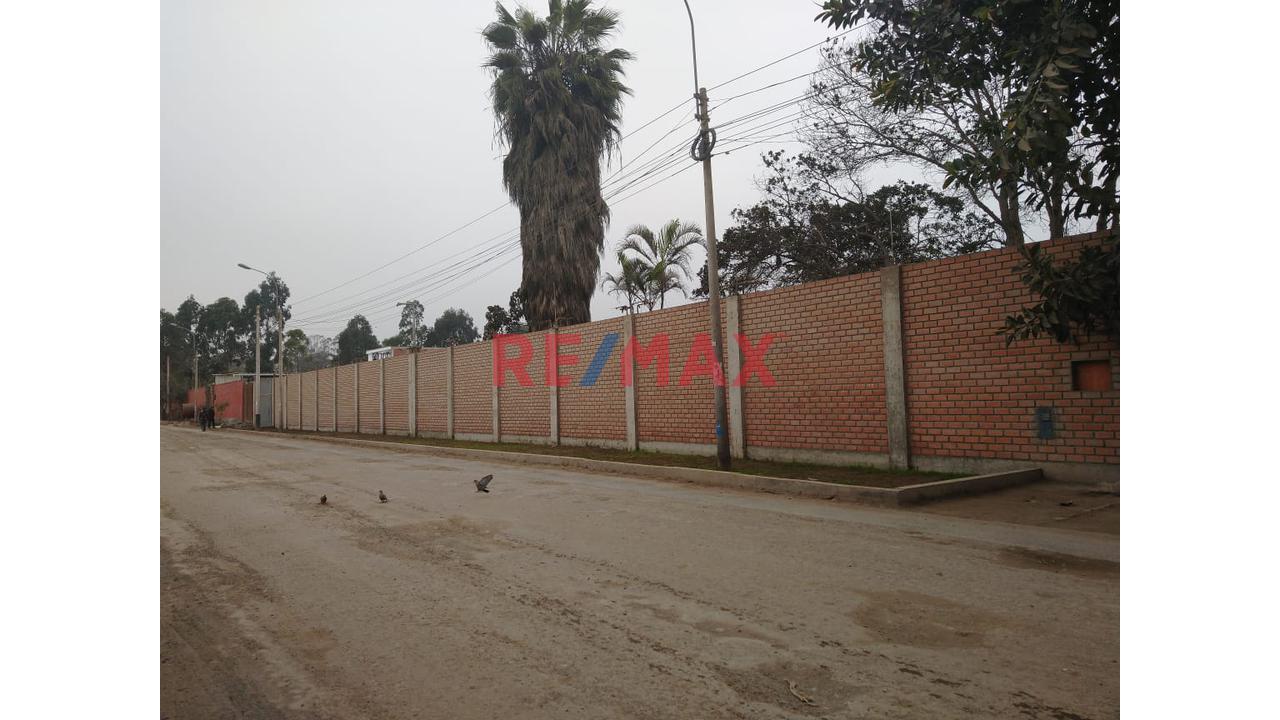 Se Alquila Local De 6500 M2 En Pachacamac - 4