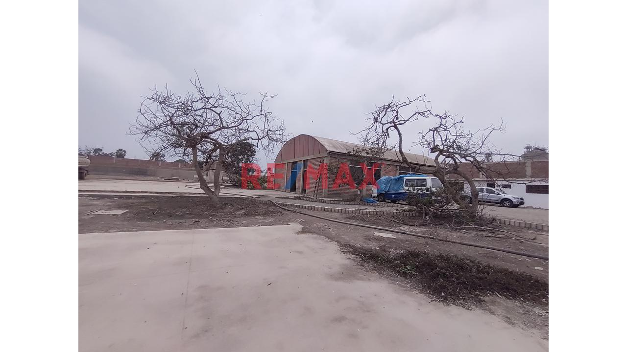 Se Alquila Local De 6500 M2 En Pachacamac - 7