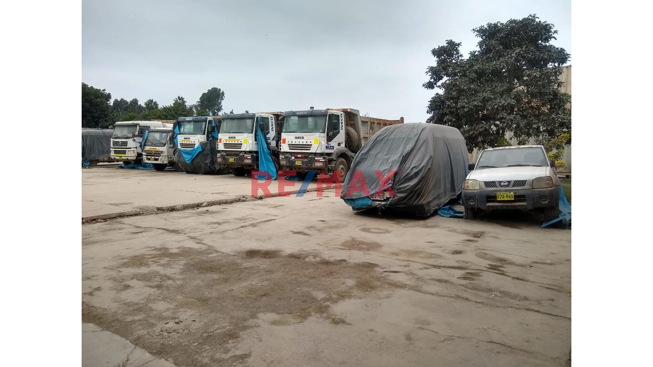 Se Alquila Local De 6500 M2 En Pachacamac - 17