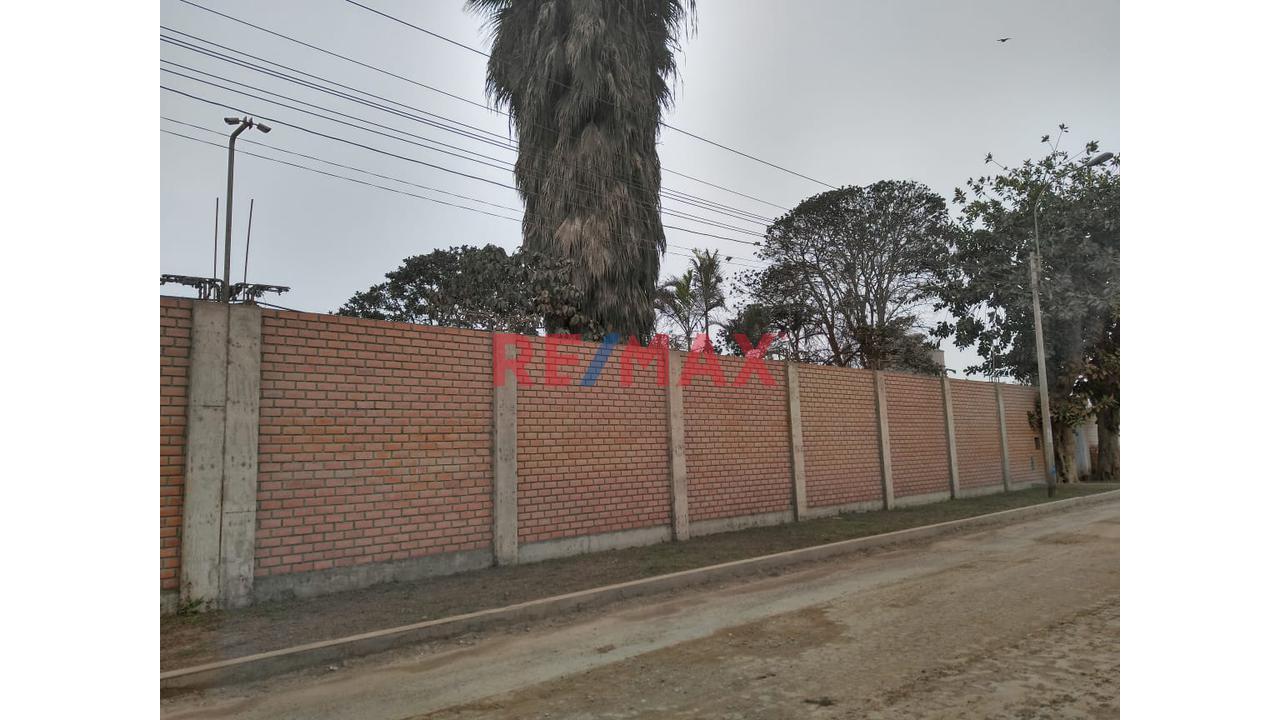 Se Alquila Local De 6500 M2 En Pachacamac - 3