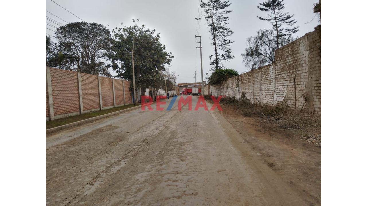 Se Alquila Local De 6500 M2 En Pachacamac - 19