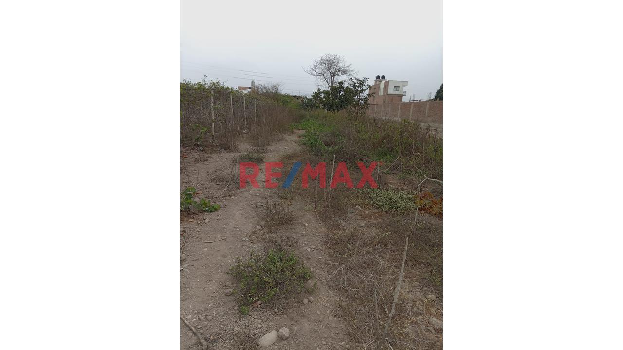 Se Vende Terreno En Mala - Cañete - 3