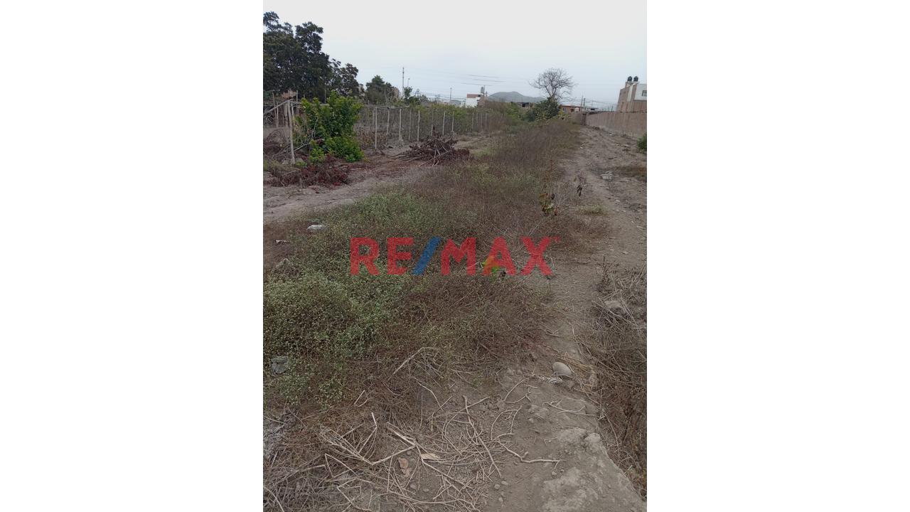 Se Vende Terreno En Mala - Cañete - 8