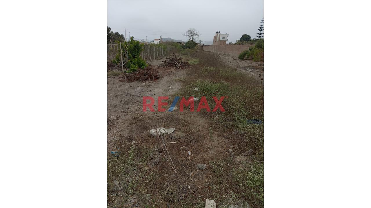 Se Vende Terreno En Mala - Cañete - 2